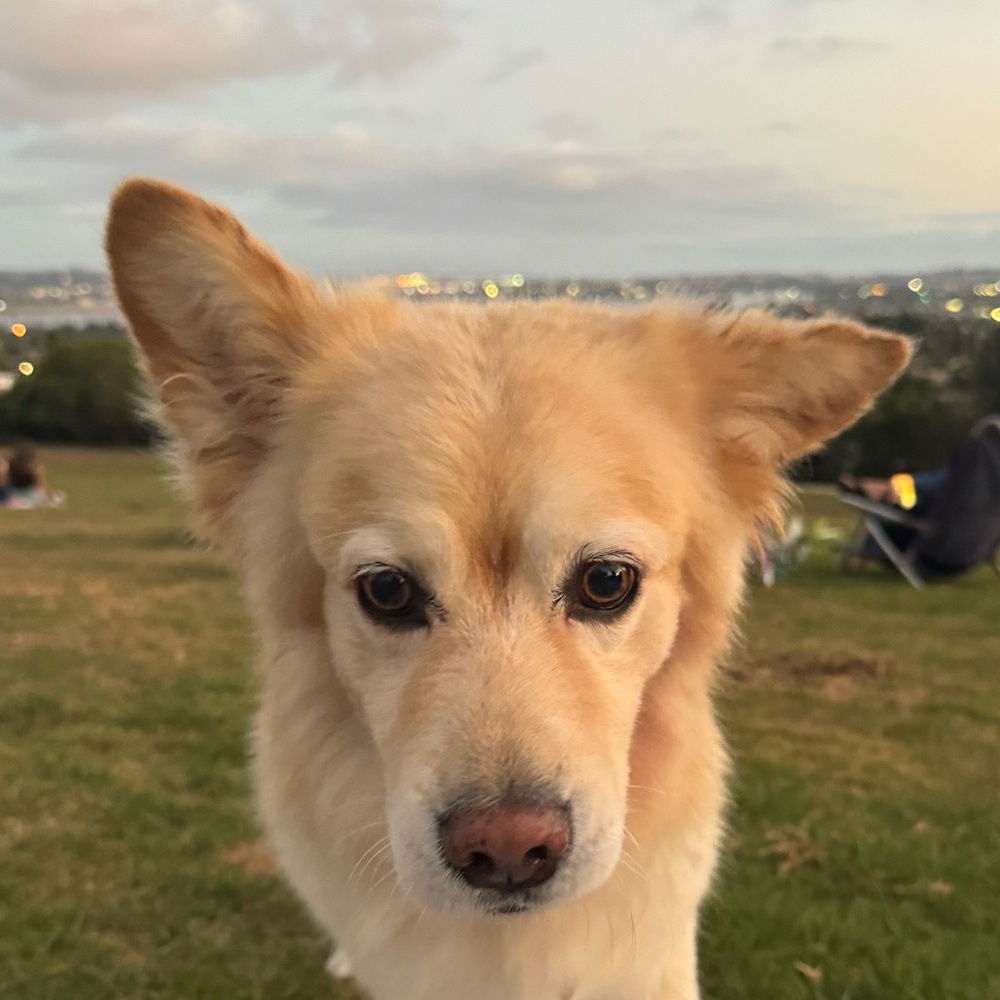 Meet your Posher, Sabrina